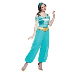 Women's Deluxe Aladdin Jasmine Costume - Large