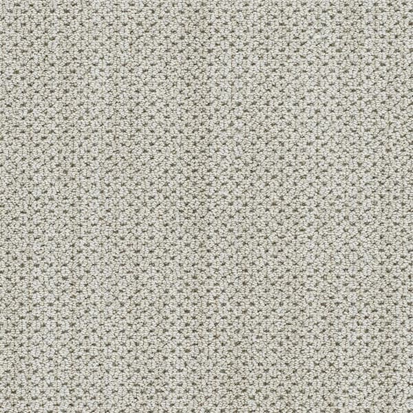Lifeproof Cardigan - Stardom Beige - 45 Oz. SD Polyester Pattern Installed Carpet