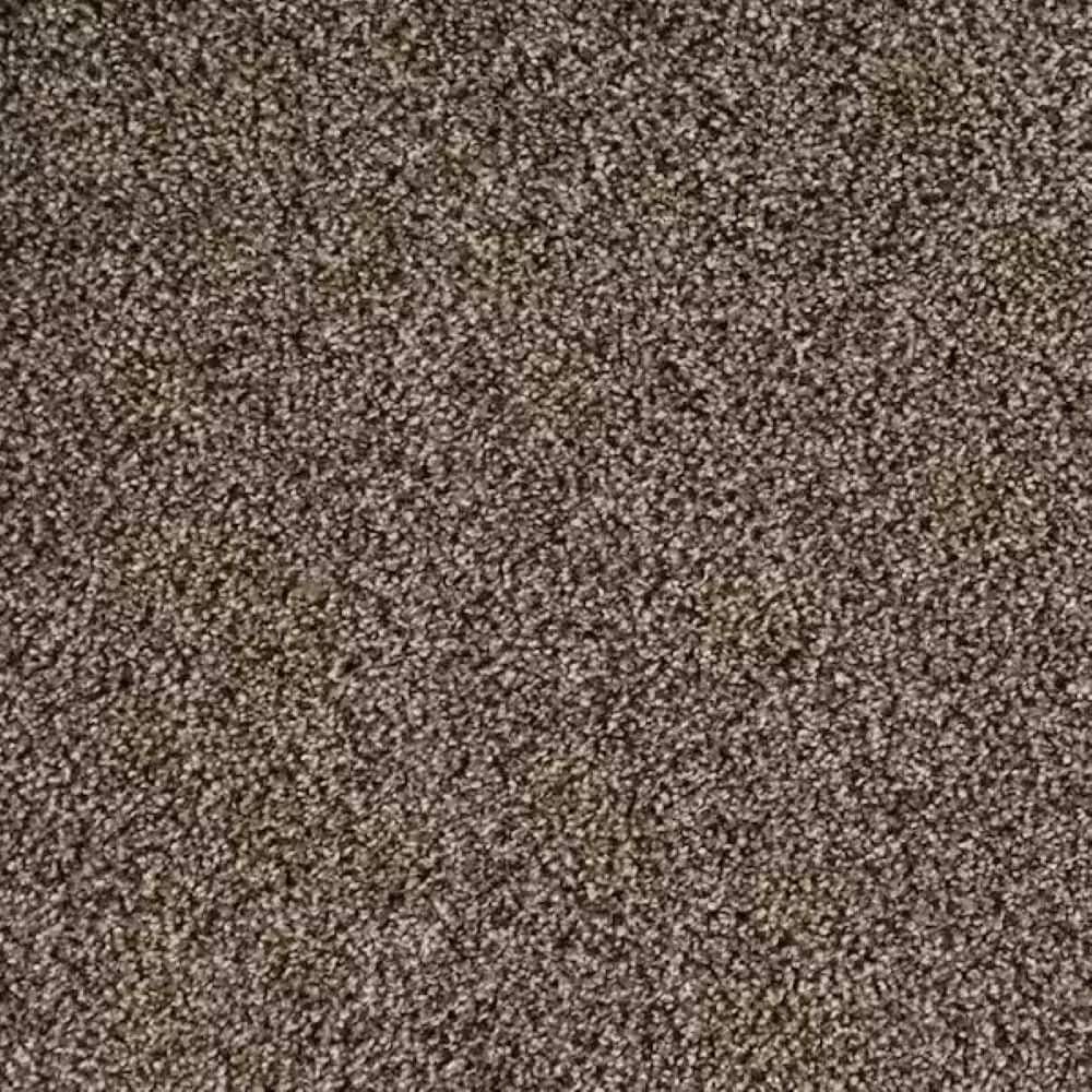 8 in. x 8 in. Texture Carpet Sample-Rockaway III-Color Journey price history on PriceWatchPro