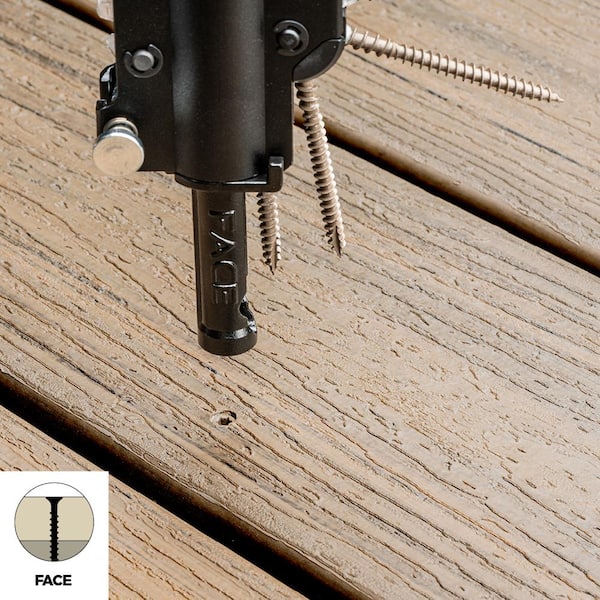 #10 x 2-1/2 in. Tan Star Flat-Head Drive Collated Composite Deck Screw (1000-Count)