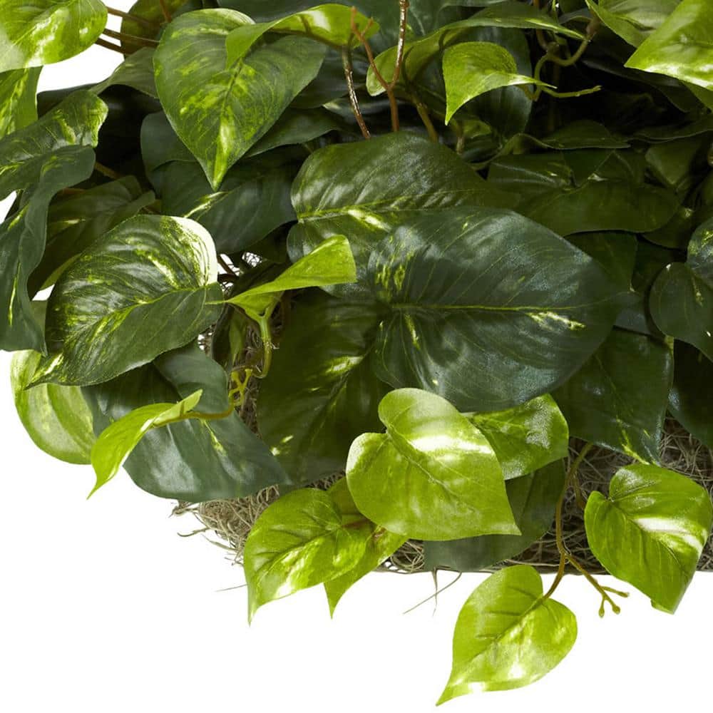 Elegant Pothos Silk Tabletop Plant in Compact Plastic