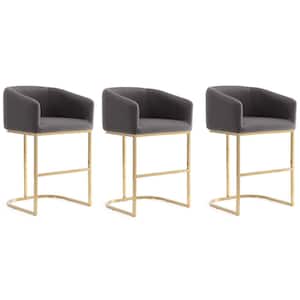Louvre 36 in. Grey and Titanium Gold Stainless Steel Counter Height Bar Stool (Set of 3)