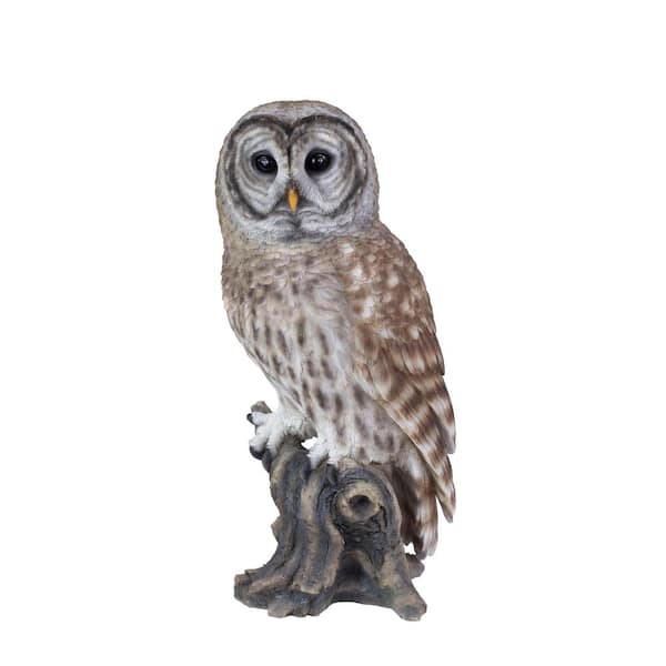 HI-LINE GIFT LTD. SoReal Brown Barred Owl on branch 87623-F - The