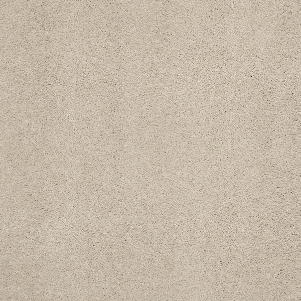 Lifeproof Coral Reef I - Warm Stone - Beige 65.5 oz. Nylon Texture Installed Carpet