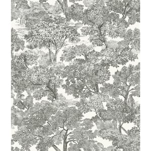 Spinney Black Toile Paper Strippable Roll (Covers 56.4 sq. ft.)