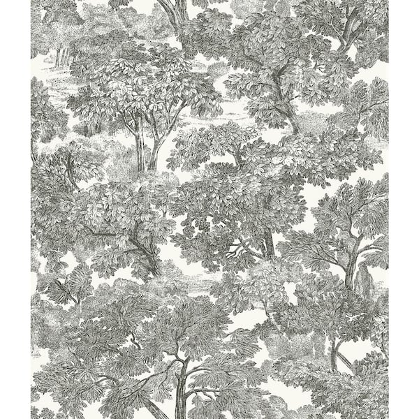 Spinney Black Toile Black Wallpaper Sample
