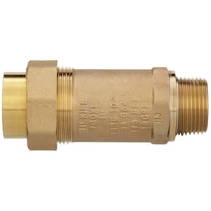 1 in. Dual Check Valve with 1 in. Male Inlet x 1 in. Union Female Outlet