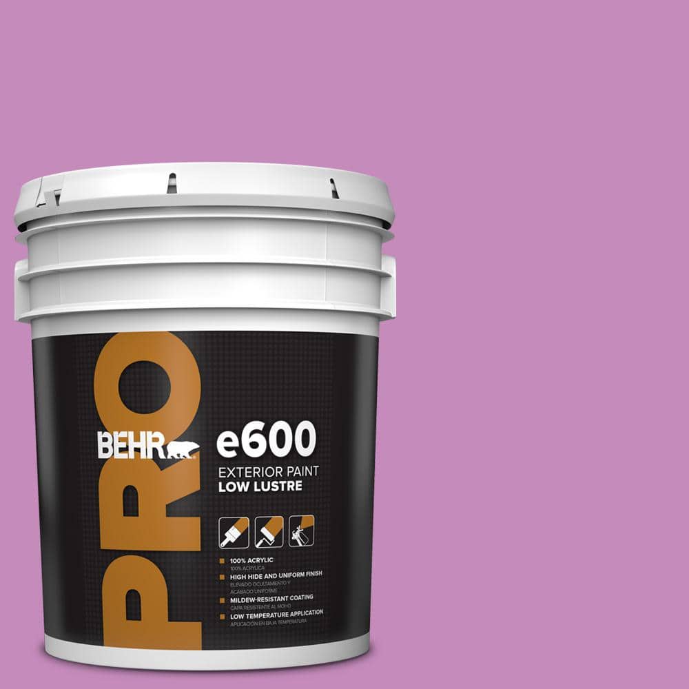 5 gal. #P110-4 Rock Star Pink Low Luster Exterior Paint price history on PriceWatchPro