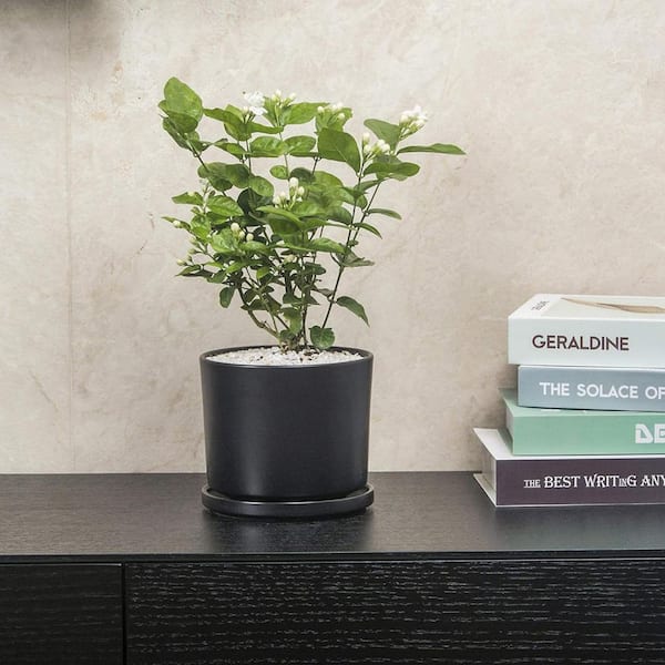 Medium Black Ceramic Indoor/Outdoor Planter with Saucer (7 in. W x