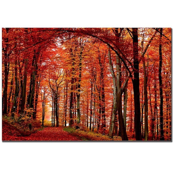 Trademark Fine Art 16 in. x 24 in. The Red Way Canvas Art