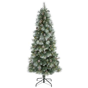 6 ft. Pre-Lit Frosted Tip British Columbia Mountain Pine Artificial Christmas Tree with 250 Clear Lights, Pine Cones