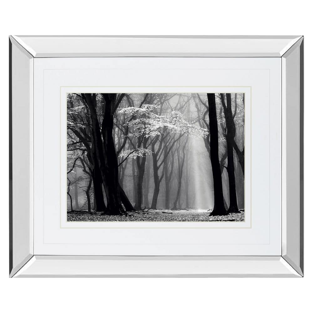 1 Piece Framed Graphic Print Nature Art Print 34 in. x 40 in. price history on PriceWatchPro