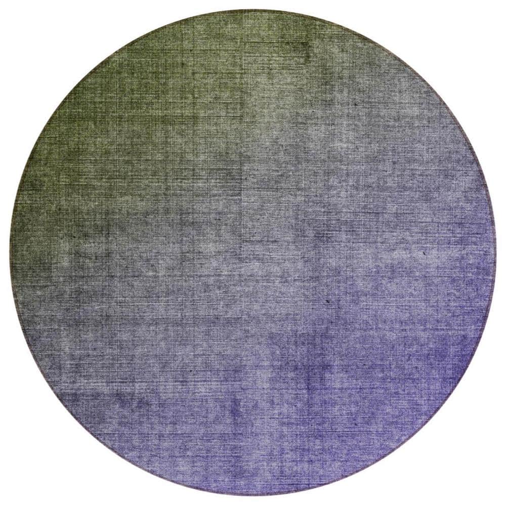 Olive Green and Purple 8 ft. Round Woven Solid Color Round Indoor/Outdoor Area Rug price history on PriceWatchPro