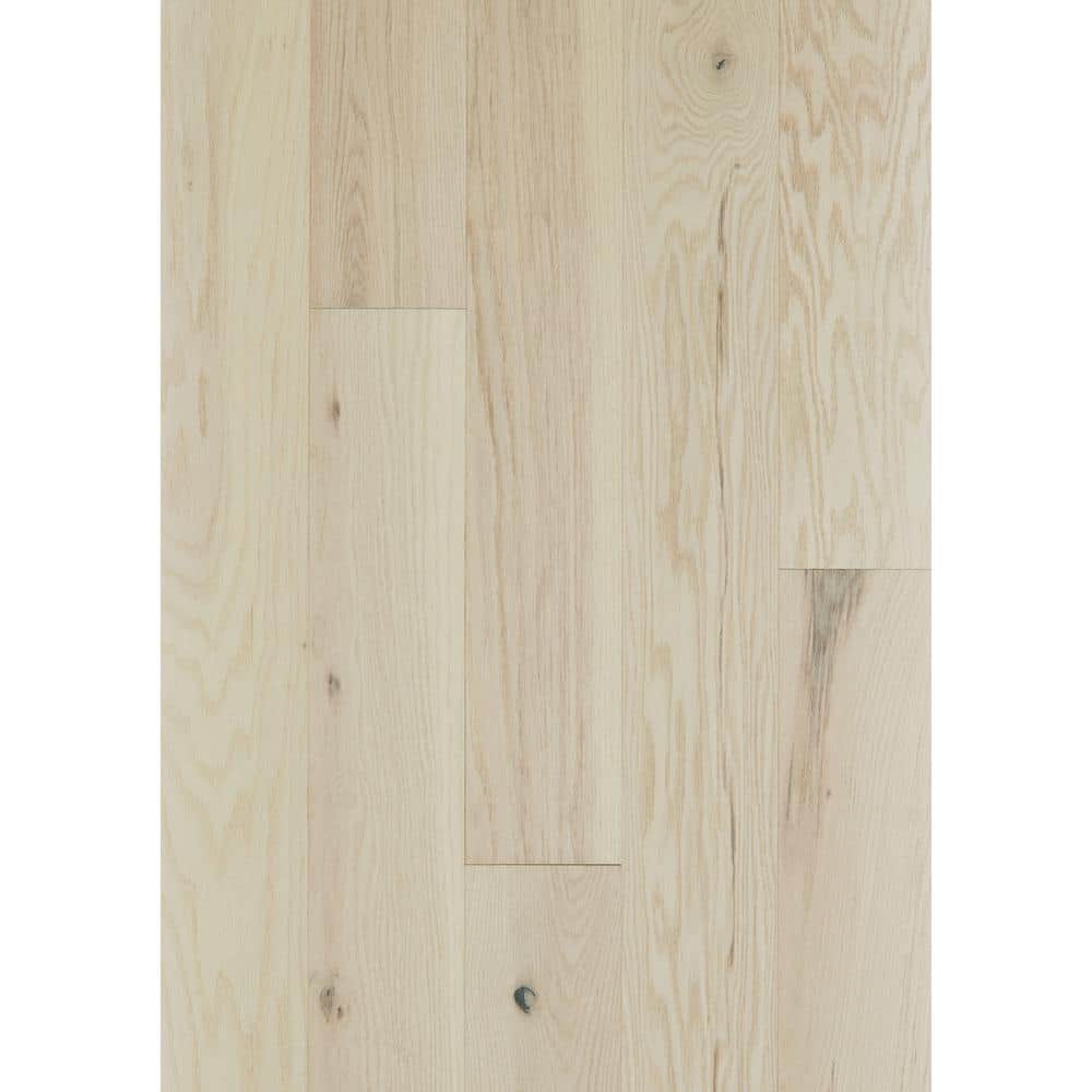Pavillion Winds Red Oak 3/8 in. T X 6.3 in. W Tongue and Groove Engineered Hardwood Flooring (30.48 sq.ft./case) price history on PriceWatchPro