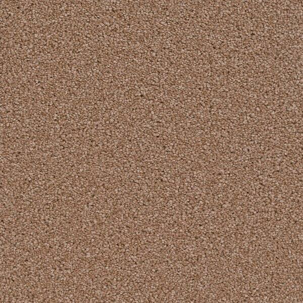 Home Decorators Collection Carpet Sample - Soundscape II - Color Tyler Texture 8 in. x 8 in.