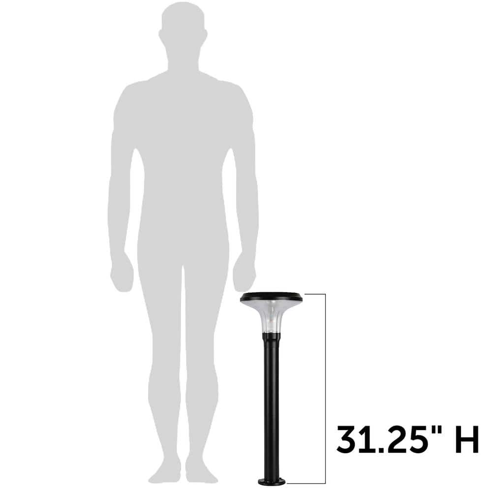 Black Cast Aluminum LED Solar Pathway Light with Dusk to Dawn