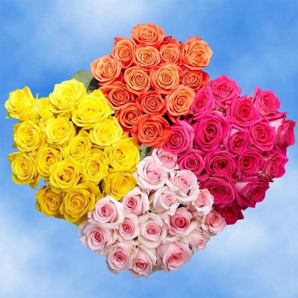 Globalrose Fresh Assorted Color - Valentine's Day Roses (100 Stems)