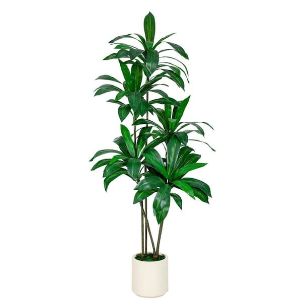 hykolity 6 ft. Artificial Dracaena Draco Dragon Tree Realistic Dracaena Fragrans Faux Tree with White Pot for Home Office Decor