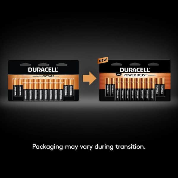Duracell Coppertop Alkaline AAA Battery (10-Pack), Triple A Batteries  004133317064 - The Home Depot