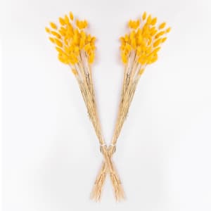 25 in. Yellow Dried Natural Bunny Tails (2-Pack)