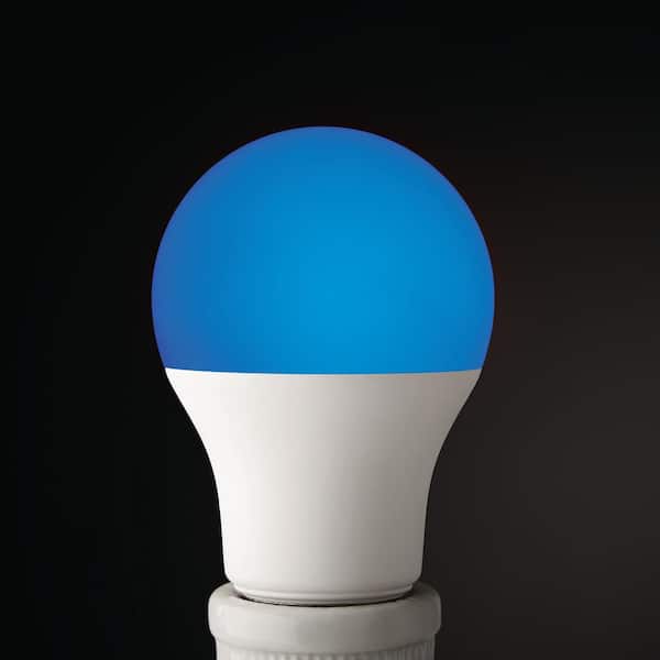 EcoSmart 40-Watt Equivalent A19 Blacklight Ultraviolet Glow in the Dark LED Light  Bulb (1-Pack) FG-04239 - The Home Depot