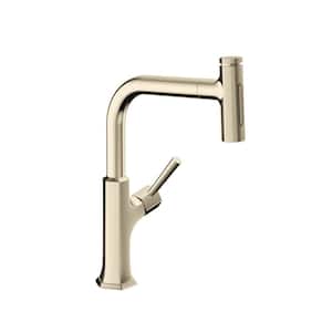 Locarno Single-Handle Pull Down Sprayer Kitchen Faucet in Polished Nickel