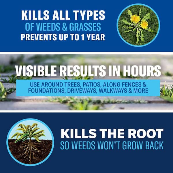 1.3 Gal. Ready-To-Use 365 Weed and Grass Killer