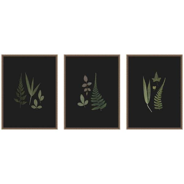3 Piece Sylvie "Minimalist Botanical Leaf on Black" by Stephanie Klatt Nature Framed Art Print Set 24 in. x 18 in.