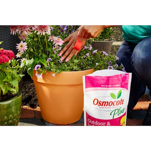 Osmocote 2 lb. Smart-Release Plant Food Plus Outdoor and Indoor 274250 -  The Home Depot