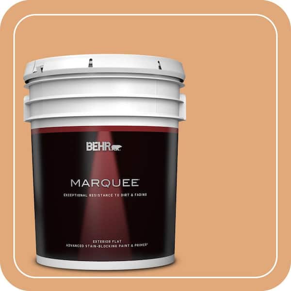 BEHR MARQUEE 5 gal. #MQ4-36 Thai Ice Tea Flat Exterior Paint & Primer