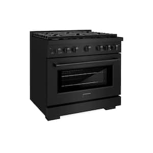 36 in. 6 Burner Freestanding Gas Range & Convection Gas Oven with Brass Burners in Black Stainless Steel