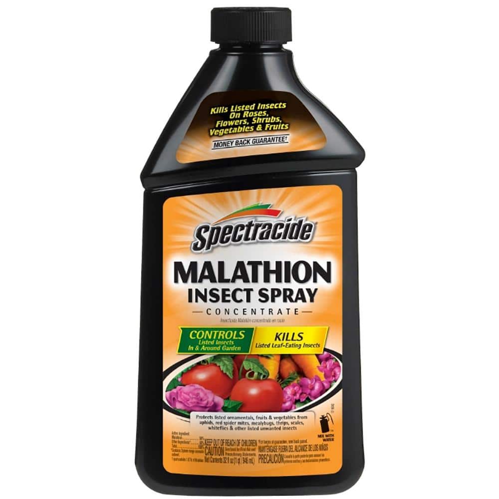 32 oz. Malathion Insect Spray Concentrate for Gardens