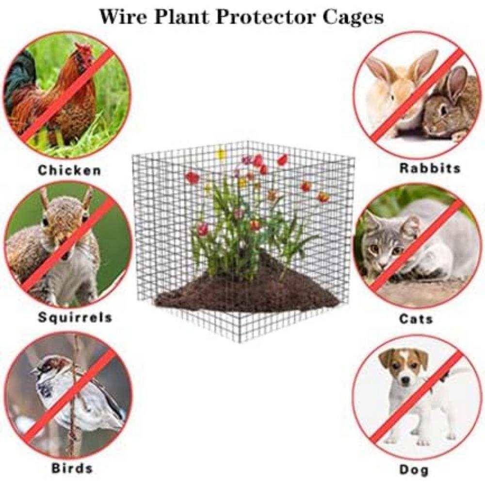 12" Black Metal Mesh Plant Protection Cages, Set of 10