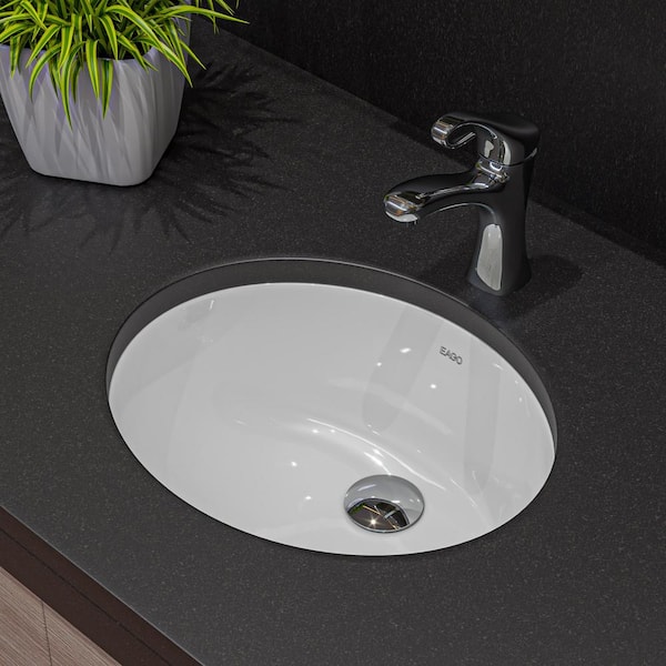 https://images.thdstatic.com/productImages/26088926-5c7d-5898-8c8b-7d94ceb156ee/svn/white-eago-undermount-bathroom-sinks-bc224-31_600.jpg