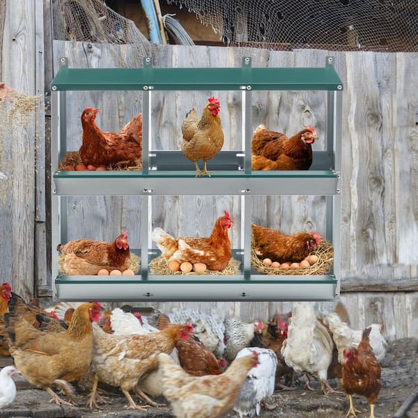 2.7 ft. W x 1.4 ft. D Metal Shed, 6-Compartments Chicken Nesting for Laying Eggss, Chicken Coop Farm Yard (3.78‬sq. ft.)