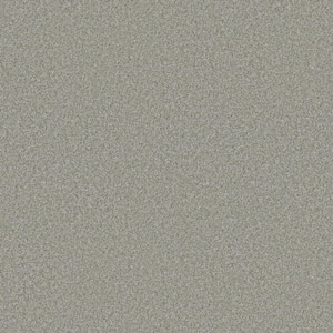 Rosemary II - Willow-Green 12 ft. 56 oz. High Performance Polyester Texture Installed Carpet