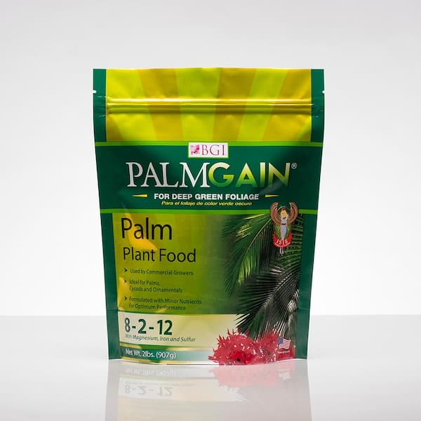 BGI 2 Lbs Palm Fertilizer 100518395 The Home Depot   Bgi Plant Food Fertilizer 100518395 64 600 