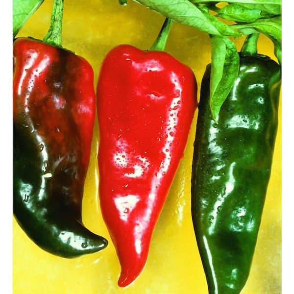 Choice Chili Pepper Pan Handle Covers - 12/Pack