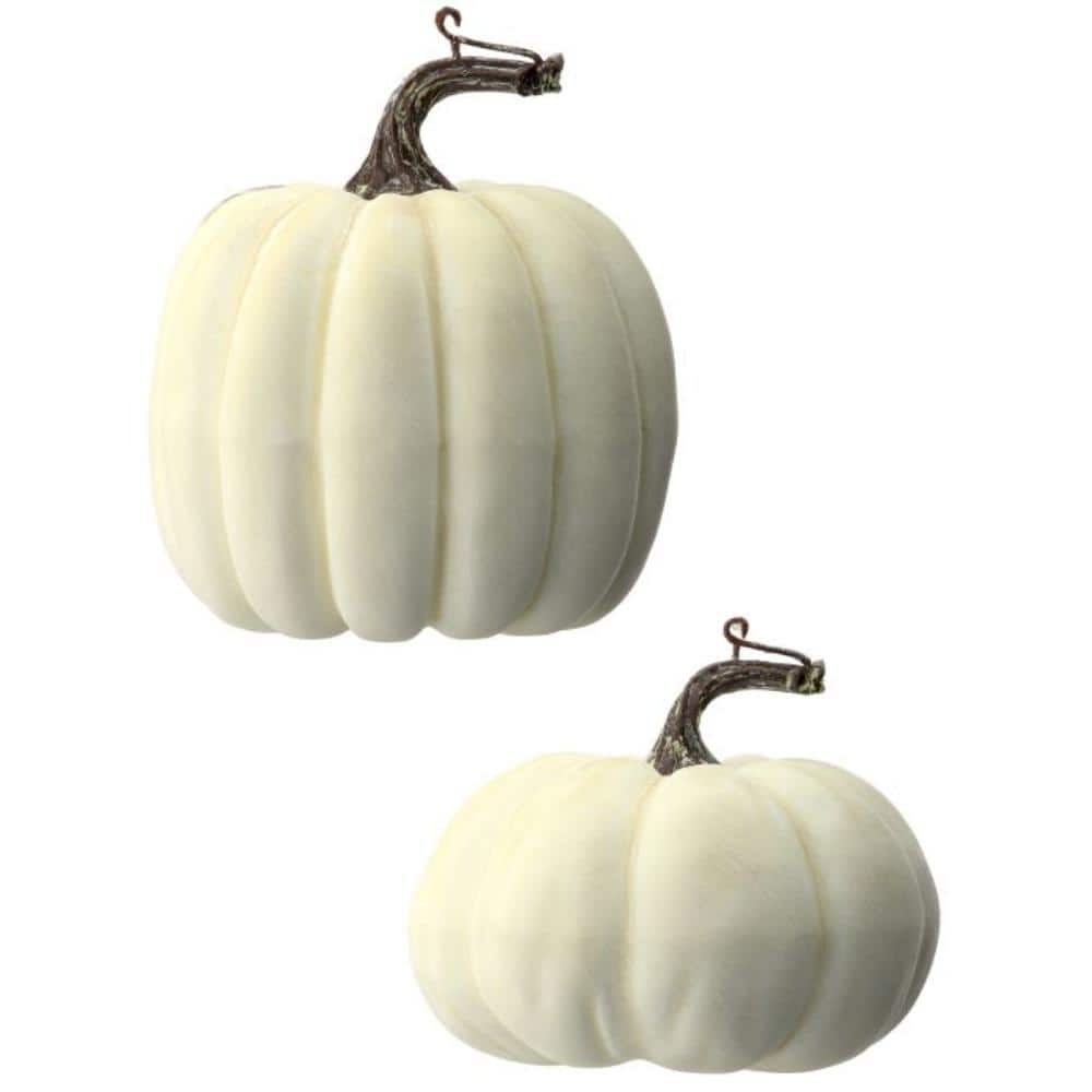 "5-6"" Waterproof  Weathered Pumpkin Set of 2" price history on PriceWatchPro