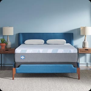 Dreamlife California King Medium Hybrid 12 in. Bed-in-a-Box Mattress