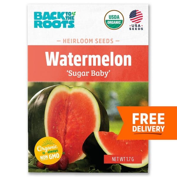 Back to the Roots Organic Sugar Baby Watermelon Seed (1-Pack)