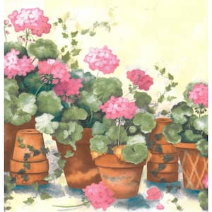 Falkirk Brin Terra Cotta Potted Flowers Pink, Brown, Green, Blue Wallpaper Border