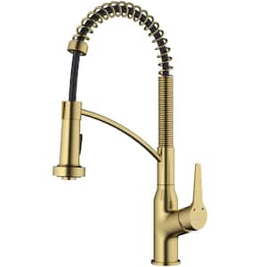 Scottsdale Single-Handle Pull-Down Sprayer Kitchen Faucet in Brushed Gold