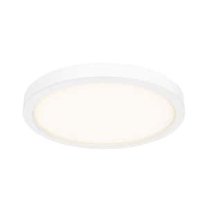 18 in. Round Indoor/Outdoor LED Flush Mount