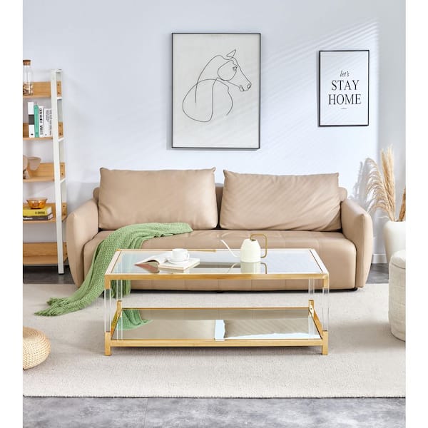 47 in. Clear Rectangle Tempered Glass Coffee Table with Stainless Steel Legs, 2-Tier Center Table for Living Room