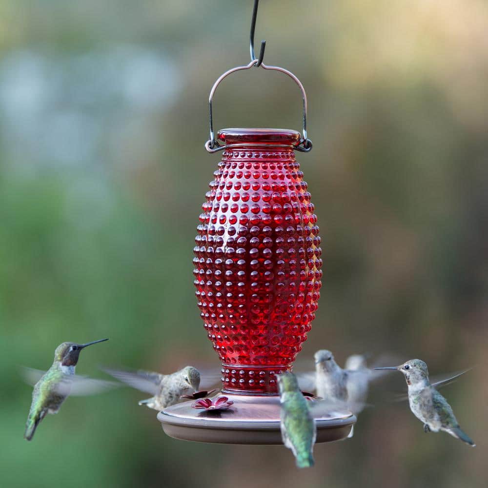 Red Hobnail Glass and Metal Hanging Hummingbird Feeder