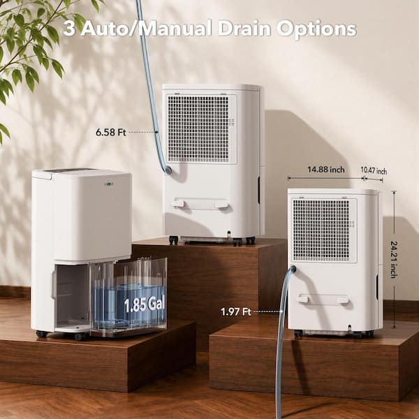 Edendirect 150 pt. Energy Star for 7,000 sq.ft. Damp Rooms