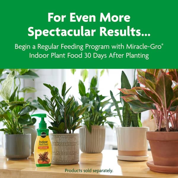 Miracle-Gro - Indoor Potting Mix 16 qt. Blended for a Wide Variety of Houseplants, Feeds up to 6 Months