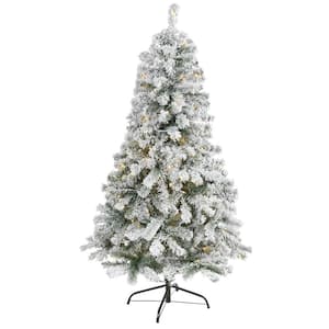 5 ft. Pre-lit Flocked Rock Springs Spruce Artificial Christmas Tree with 150 Clear LED Lights