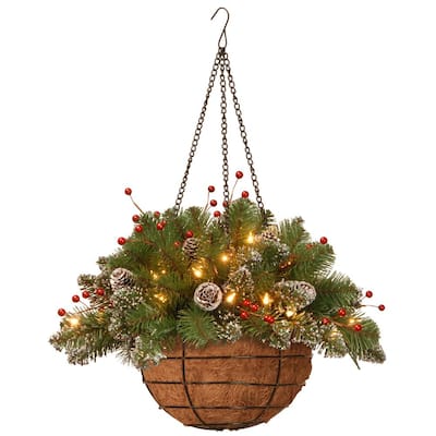 20 in. Glittery Mountain Spruce Hanging Basket with Battery Operated Warm White LED Lights